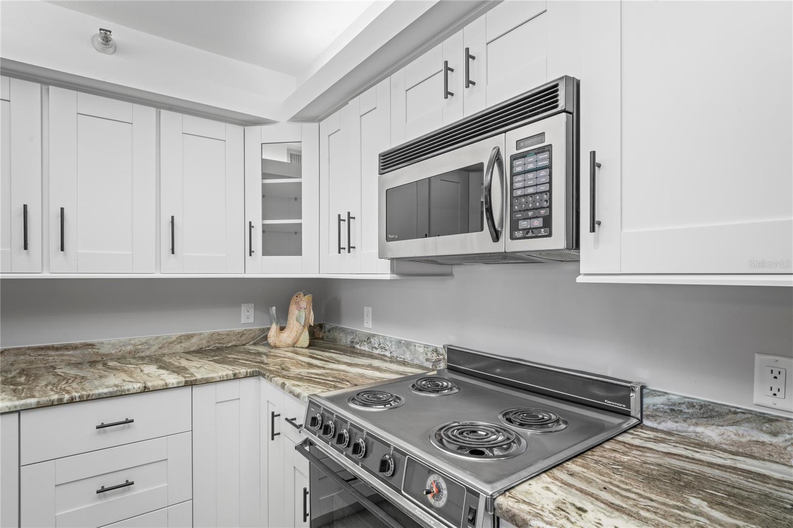 2333 FEATHER SOUND DR #A203, CLEARWATER, FL, 33762