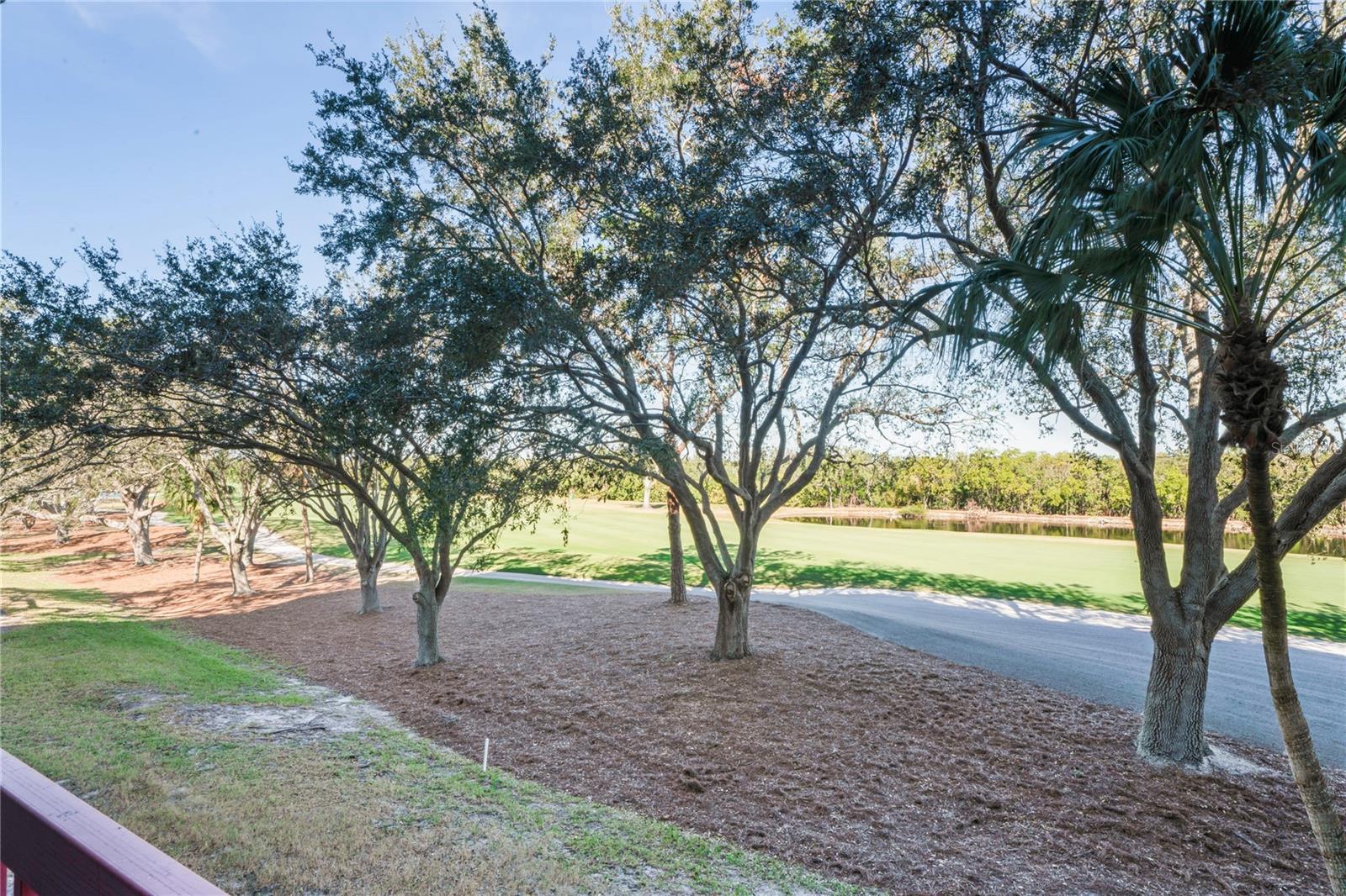 2333 FEATHER SOUND DR #A203, CLEARWATER, FL, 33762