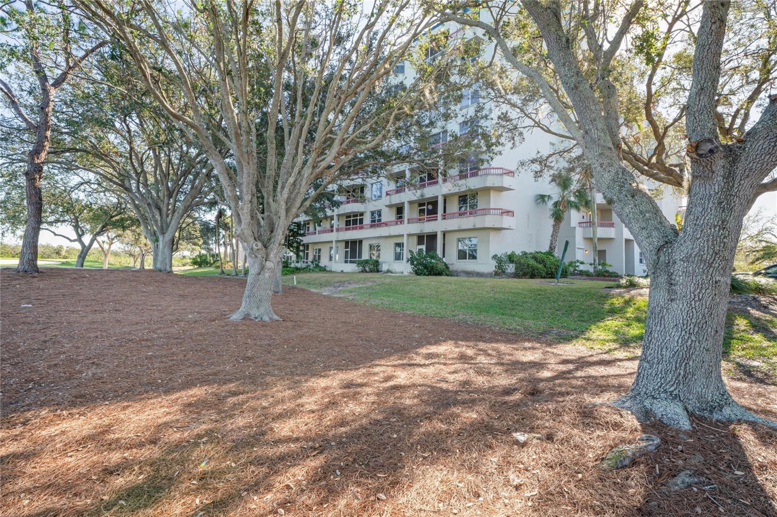 2333 FEATHER SOUND DR #A203, CLEARWATER, FL, 33762