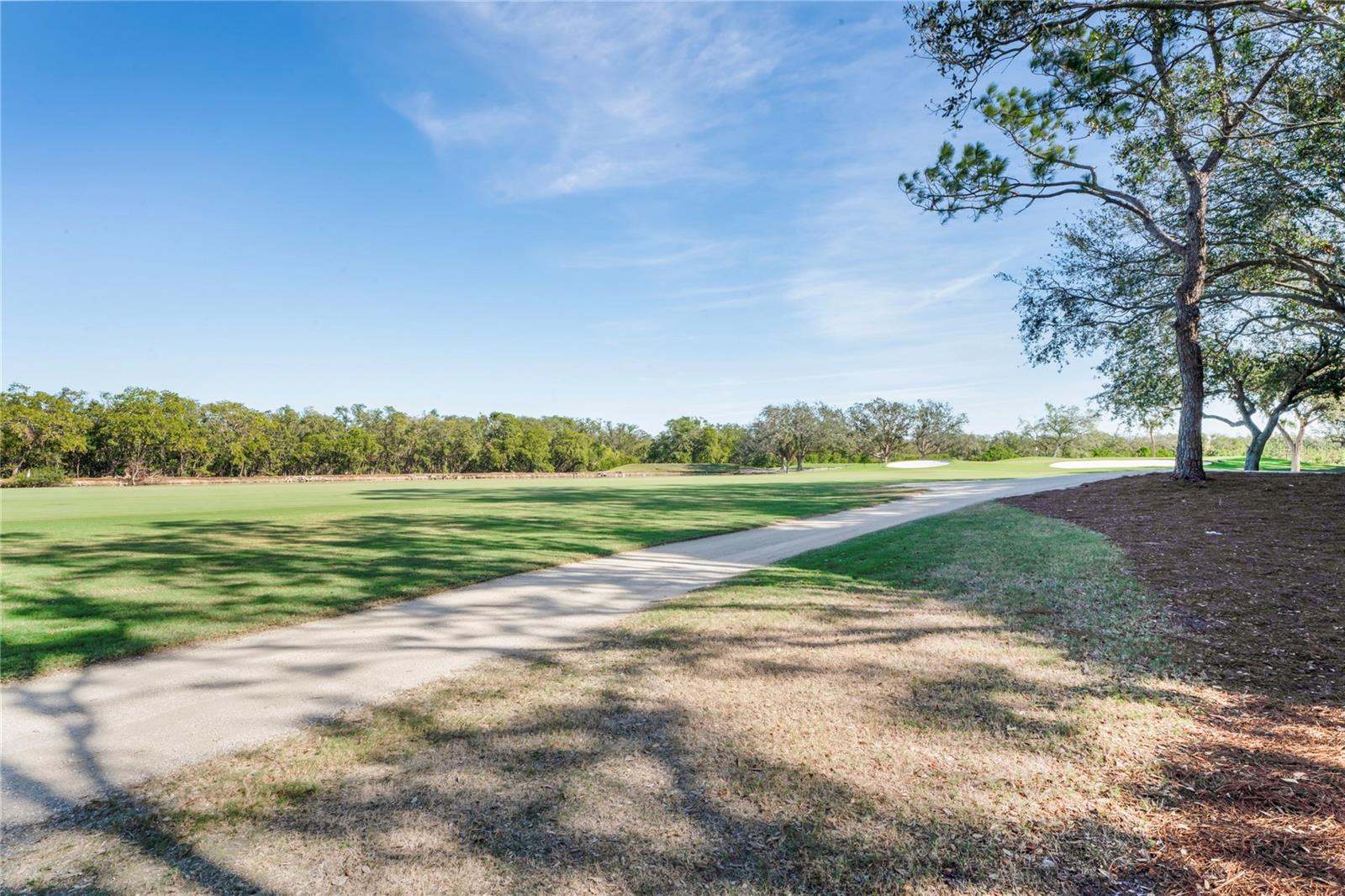 2333 FEATHER SOUND DR #A203, CLEARWATER, FL, 33762