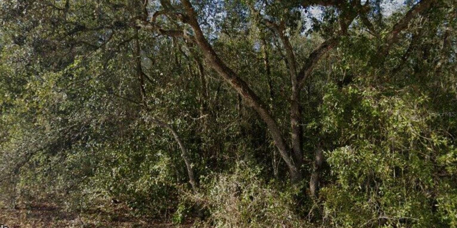 34249 SHAFFER DR, DADE CITY, FL, 33523