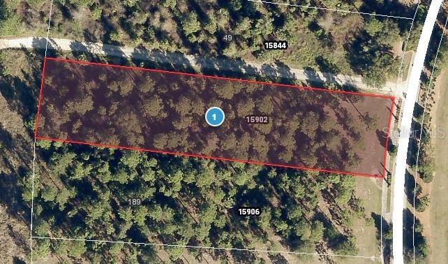15902 PENDIO DR, BELLA COLLINA, FL, 34756