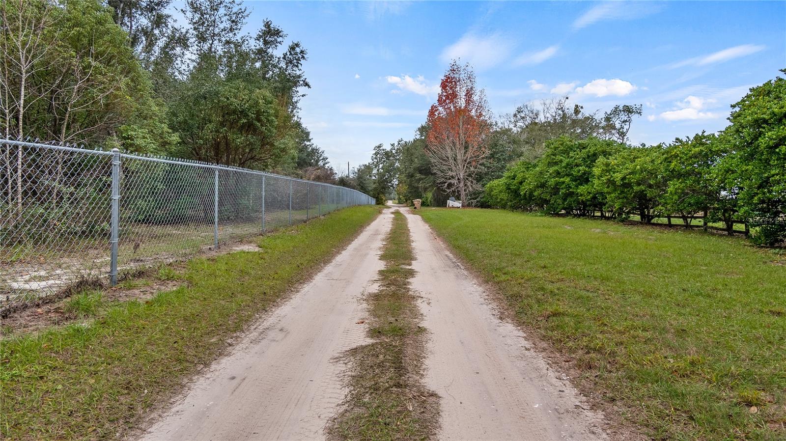3907 SOTO RD, GROVELAND, FL, 34736
