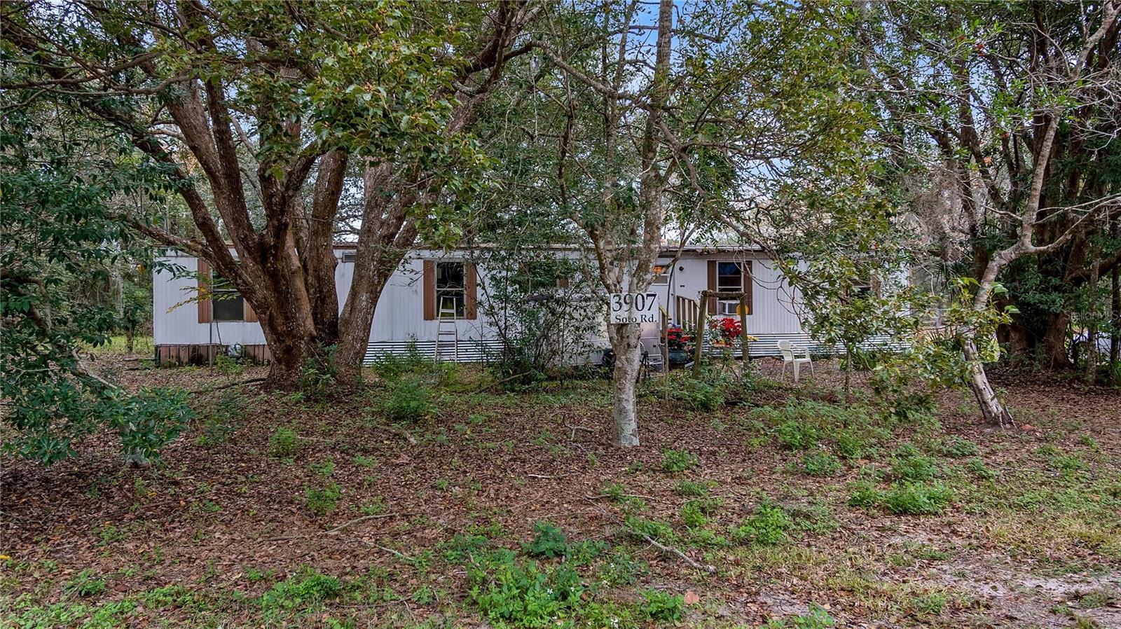 3907 SOTO RD, GROVELAND, FL, 34736