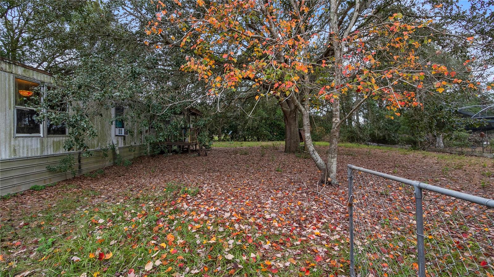 3907 SOTO RD, GROVELAND, FL, 34736