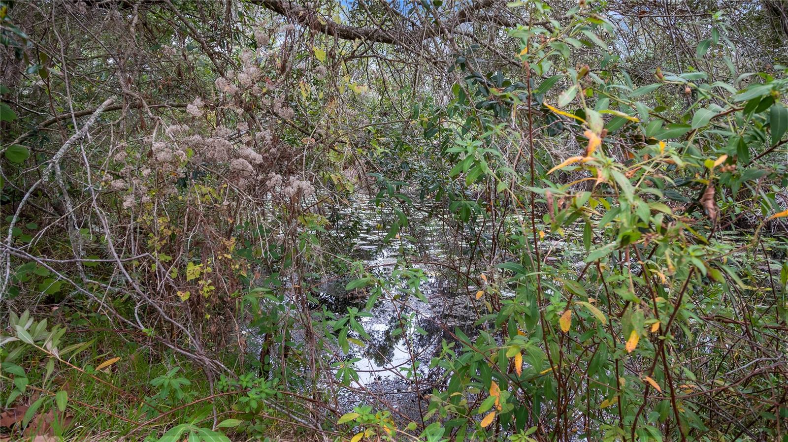 3907 SOTO RD, GROVELAND, FL, 34736