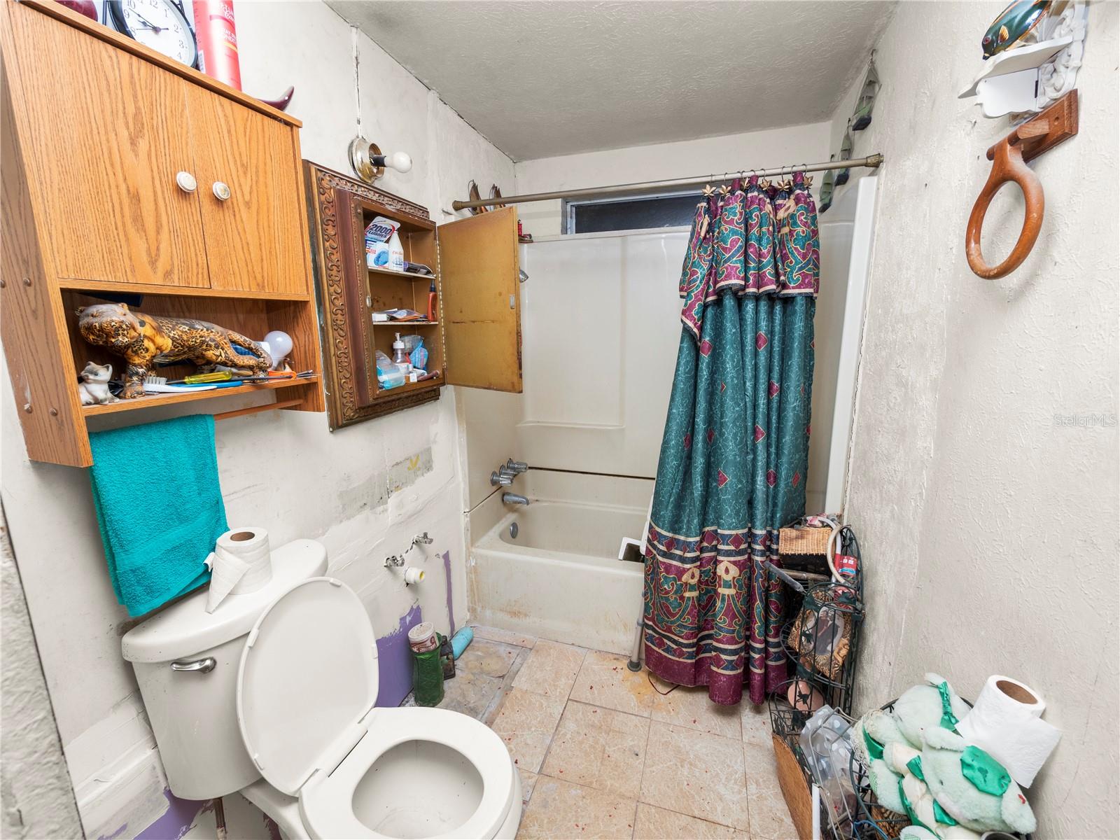 245 HOOKER ST, MULBERRY, FL, 33860
