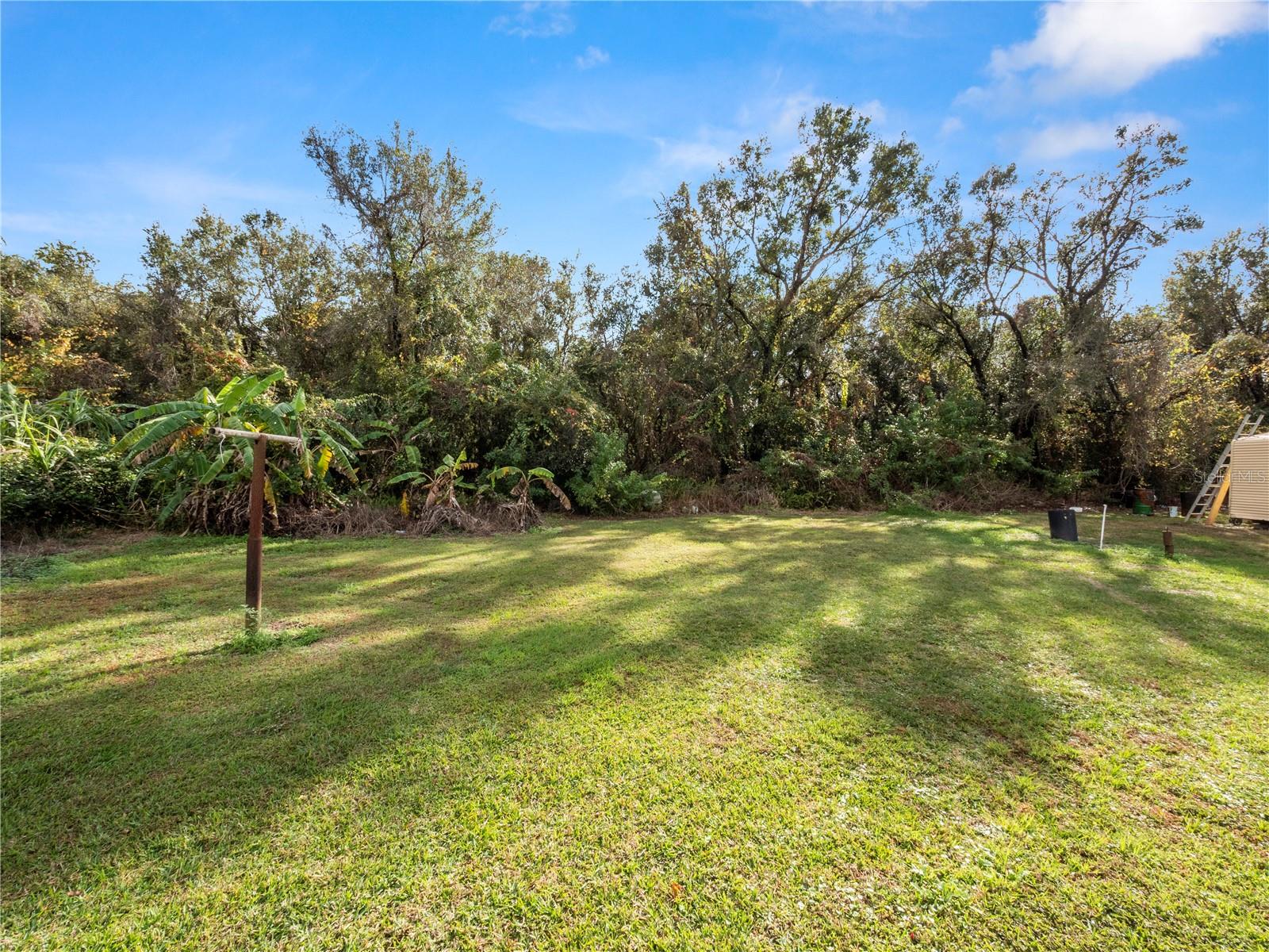 245 HOOKER ST, MULBERRY, FL, 33860