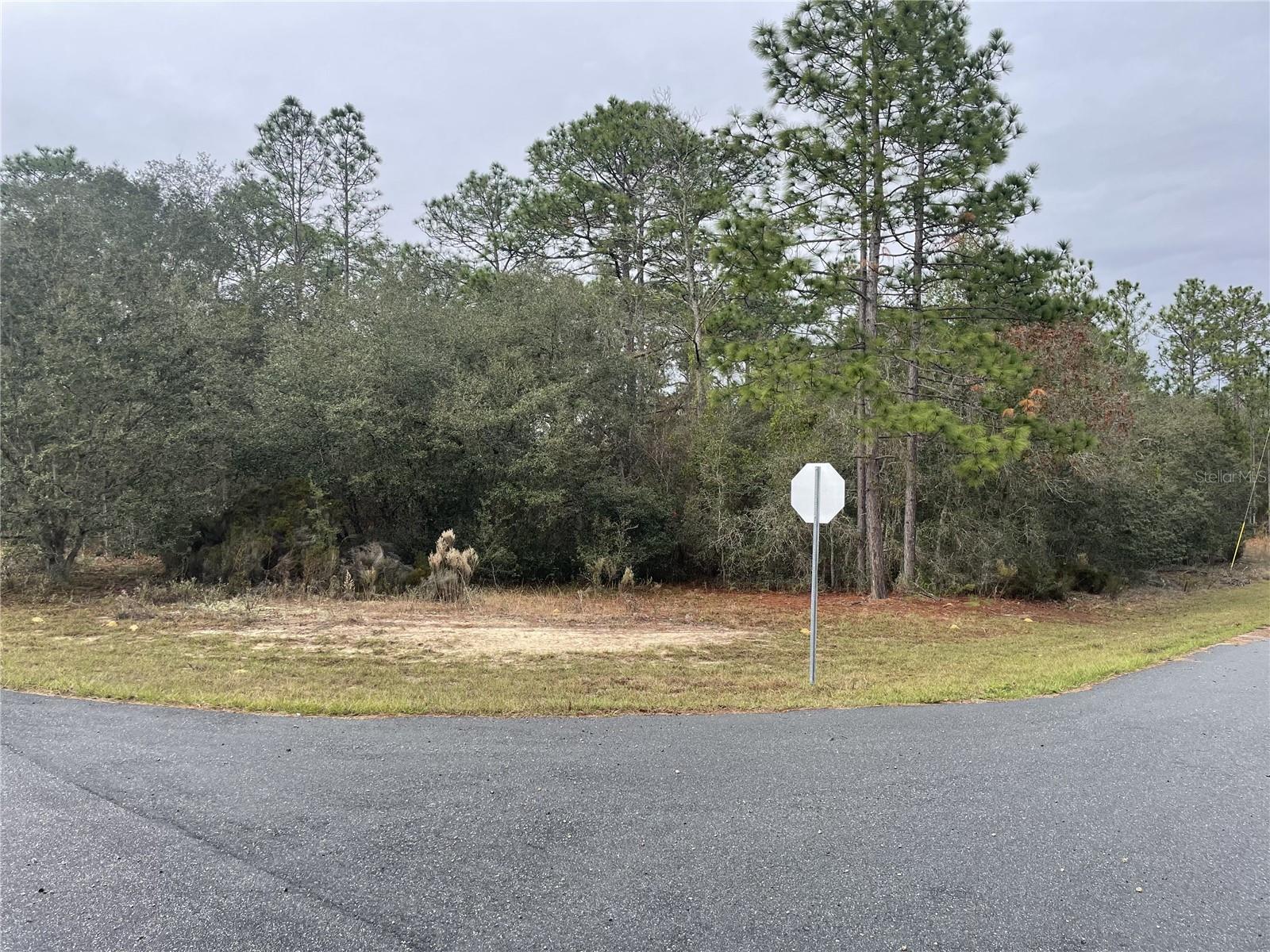 11290 N KENNEY LOOP, CITRUS SPRINGS, FL, 34433