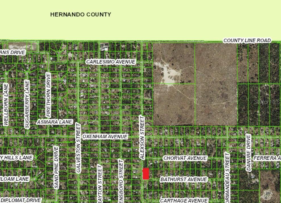 18216 ALEXSON ST, SPRING HILL, FL, 34610