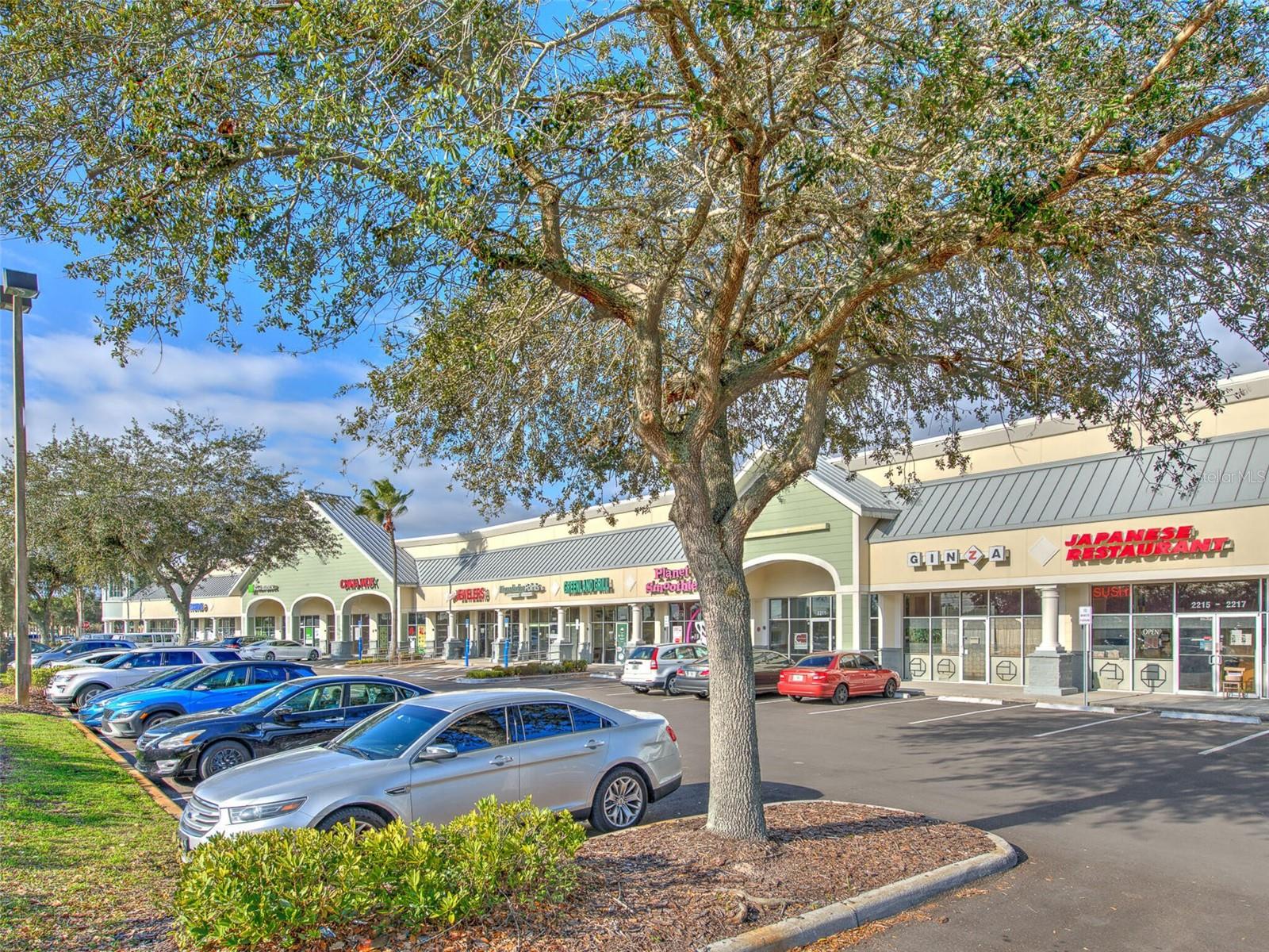 2215 COLLIER PARKWAY, LAND O LAKES, FL, 34639