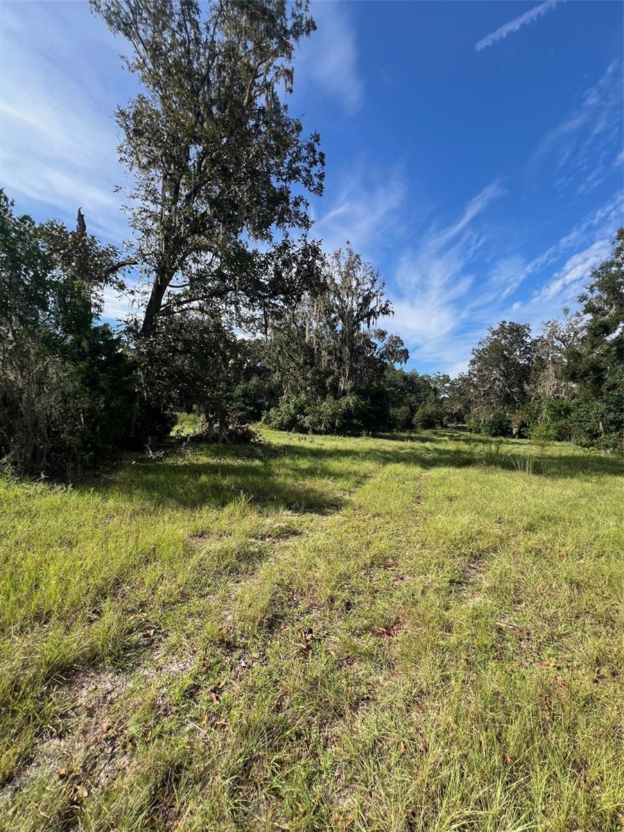 16604 NW STATE ROAD 45, HIGH SPRINGS, FL, 32643