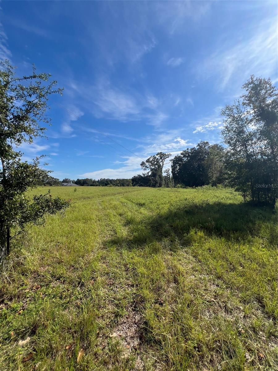 16604 NW STATE ROAD 45, HIGH SPRINGS, FL, 32643