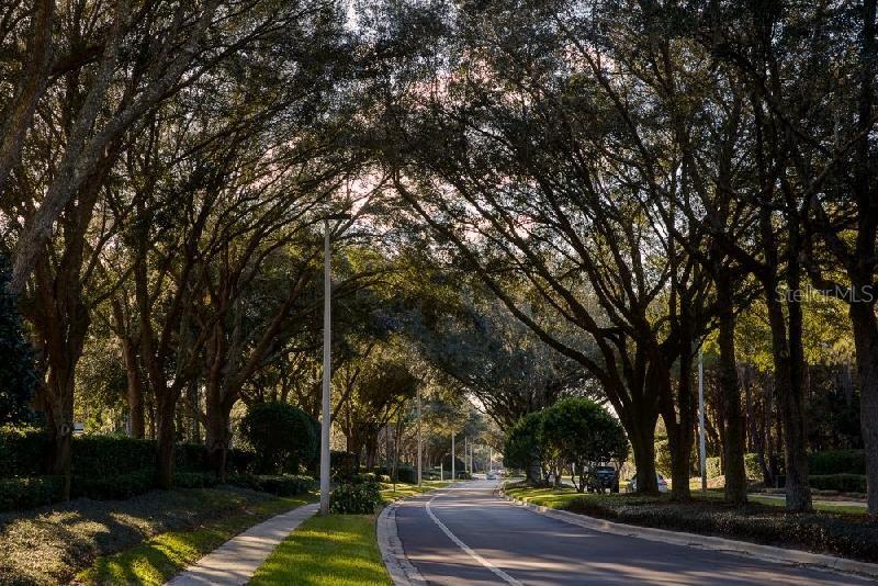 9481 HIGHLAND OAK DR #1003, TAMPA, FL, 33647