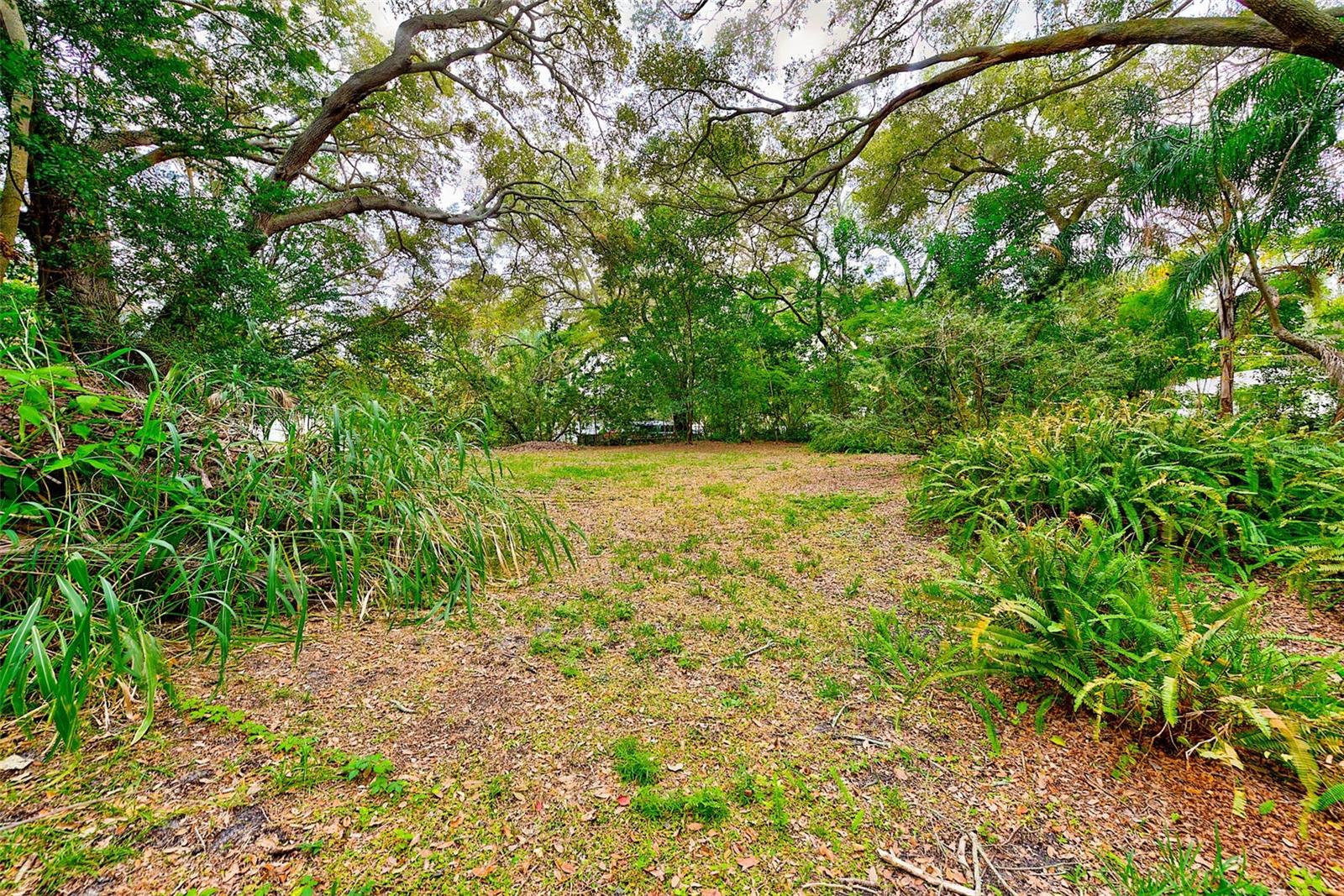 1838 SYLVAN DR, CLEARWATER, FL, 33755