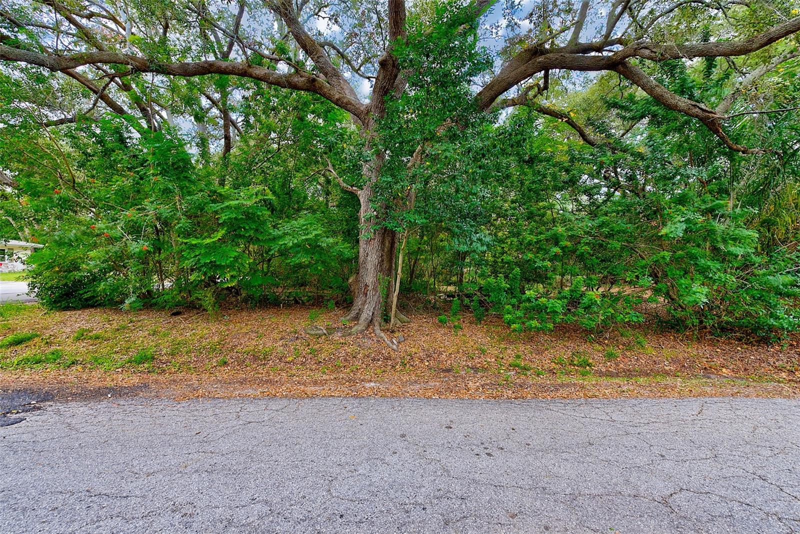 1838 SYLVAN DR, CLEARWATER, FL, 33755