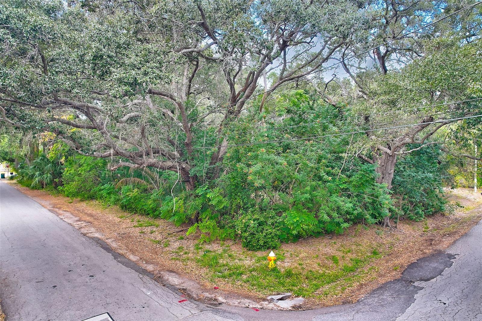 1838 SYLVAN DR, CLEARWATER, FL, 33755