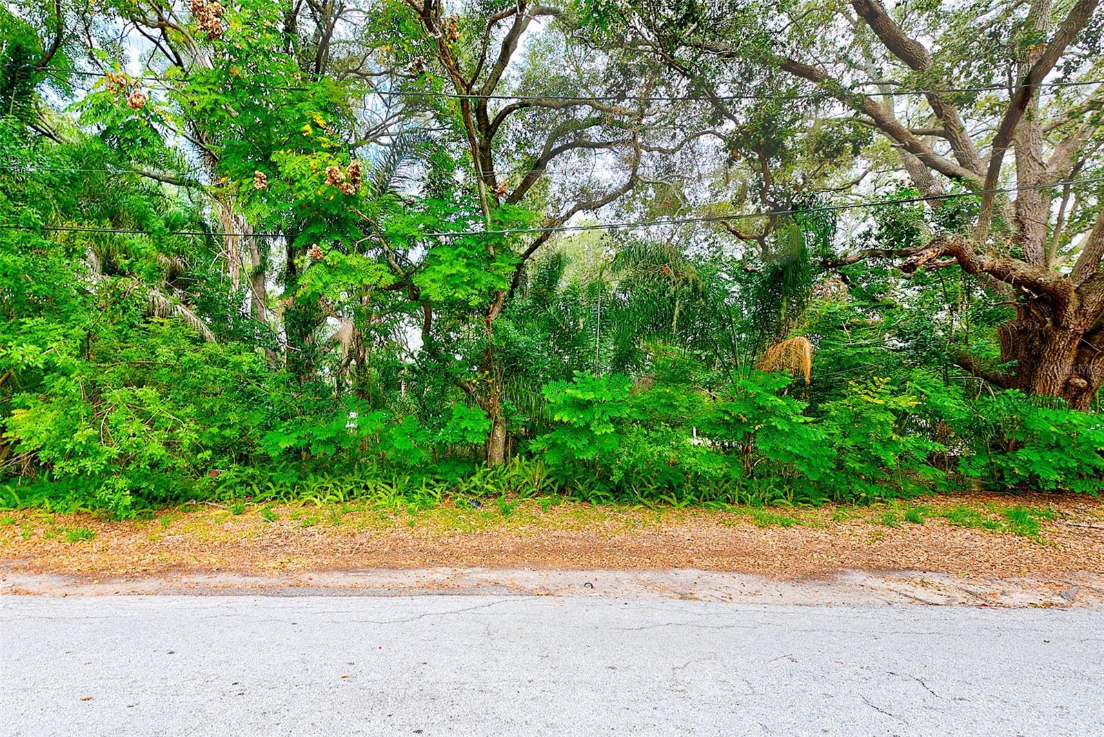 1838 SYLVAN DR, CLEARWATER, FL, 33755