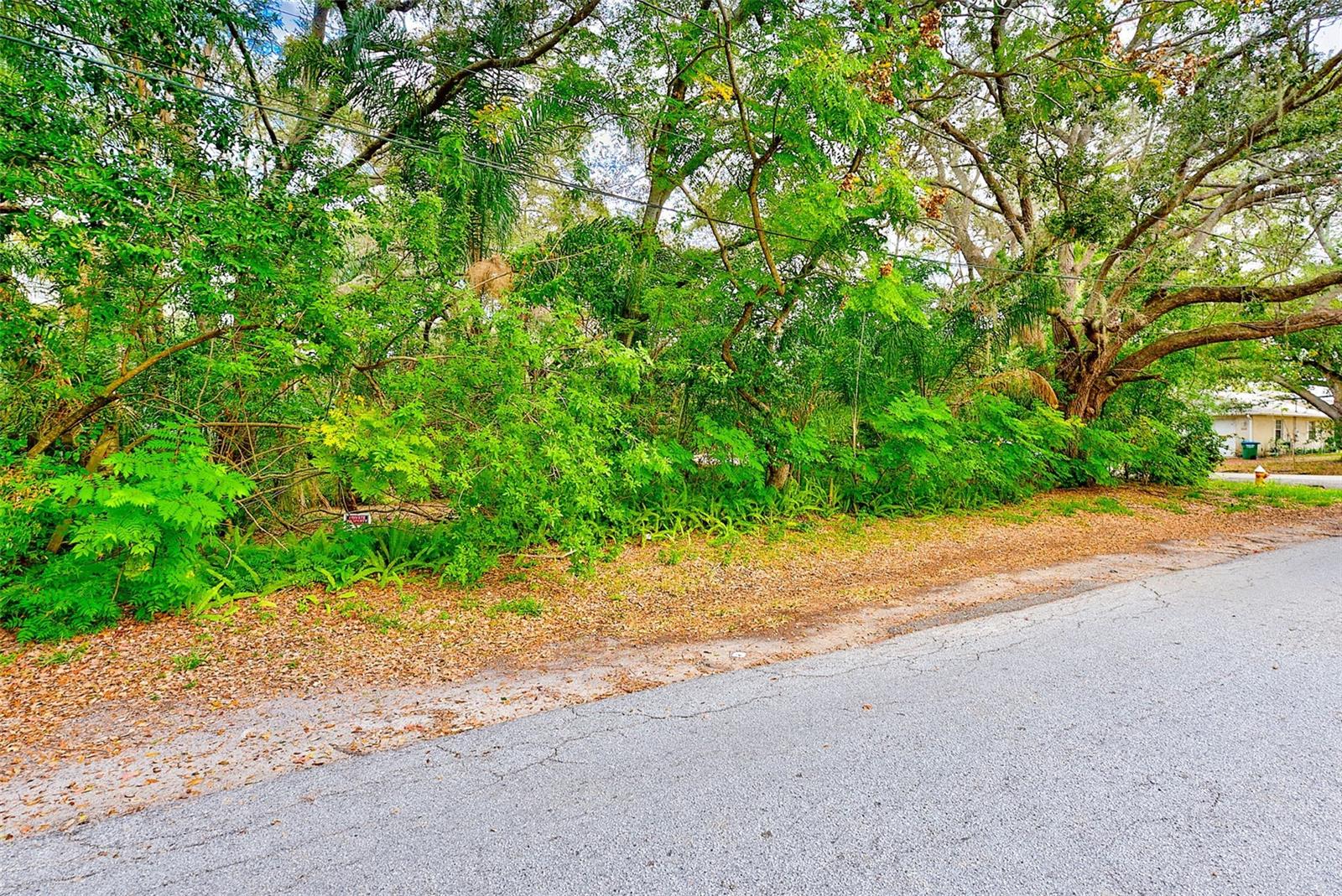 1838 SYLVAN DR, CLEARWATER, FL, 33755