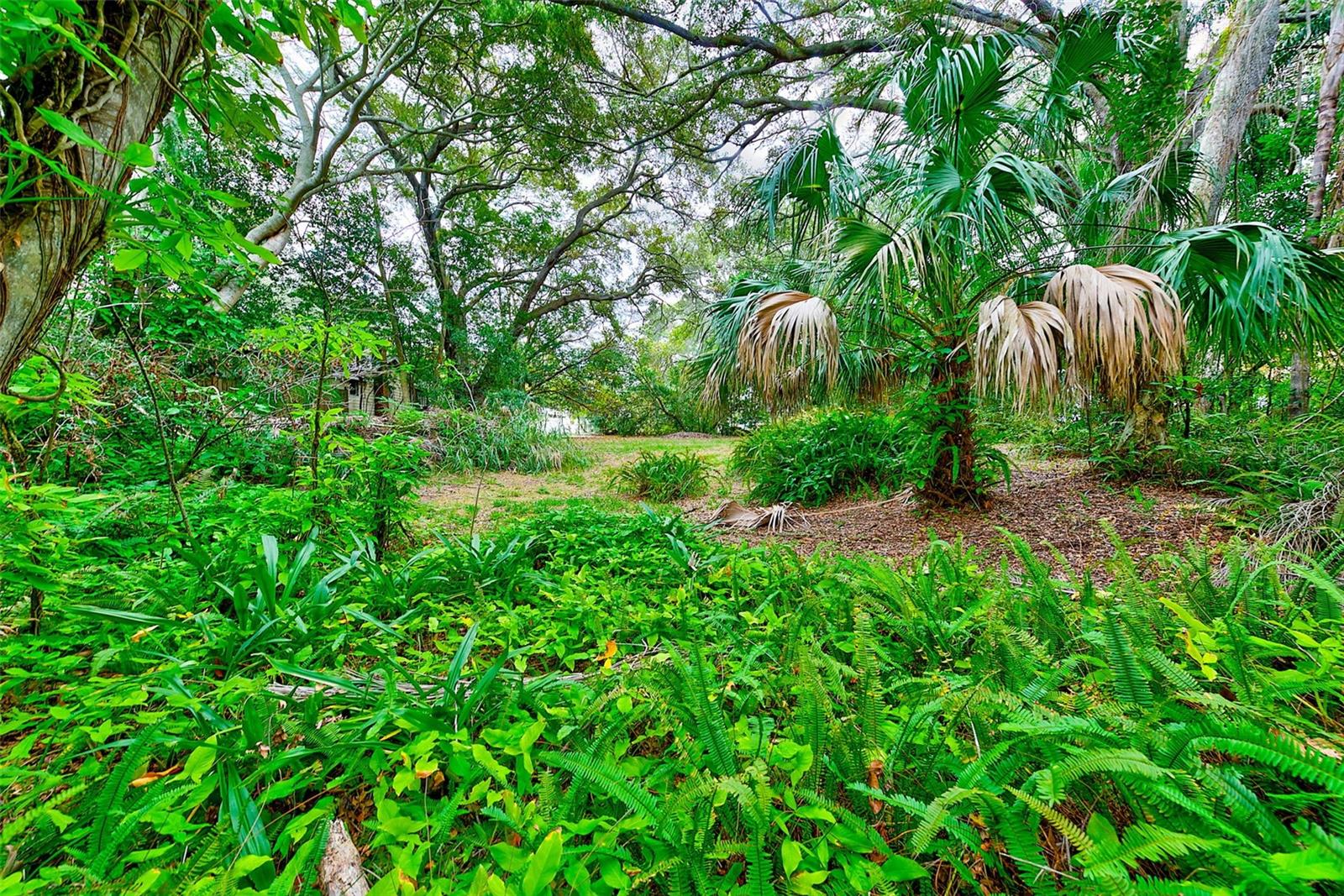 1838 SYLVAN DR, CLEARWATER, FL, 33755