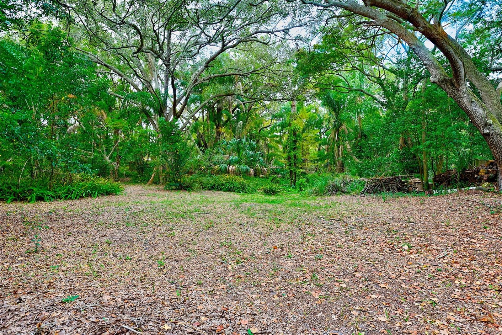 1838 SYLVAN DR, CLEARWATER, FL, 33755