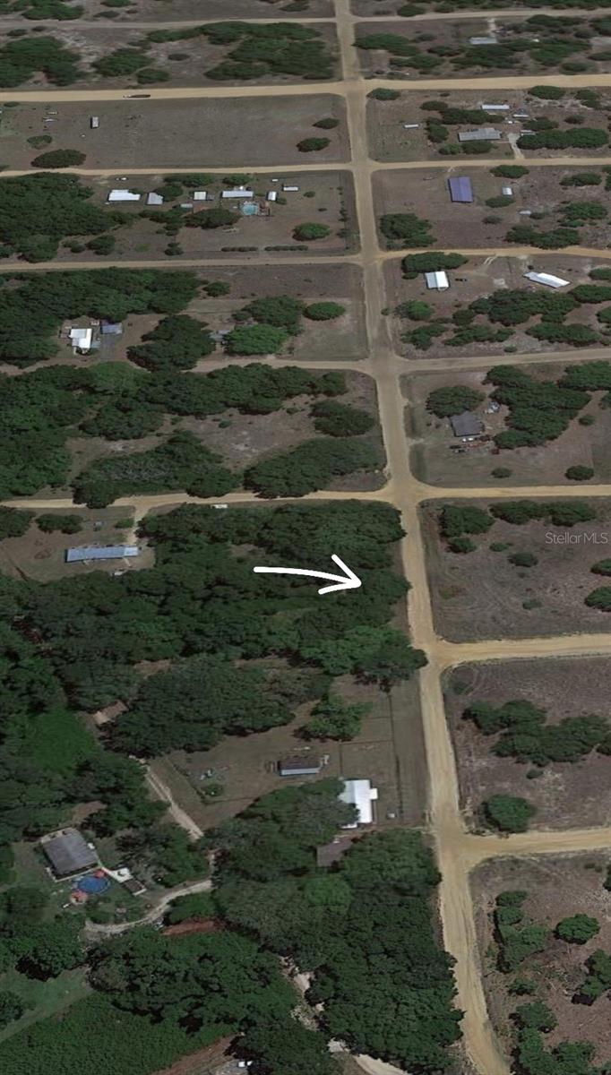 LOT 10 SHIRLEY STREET, INTERLACHEN, FL, 32148
