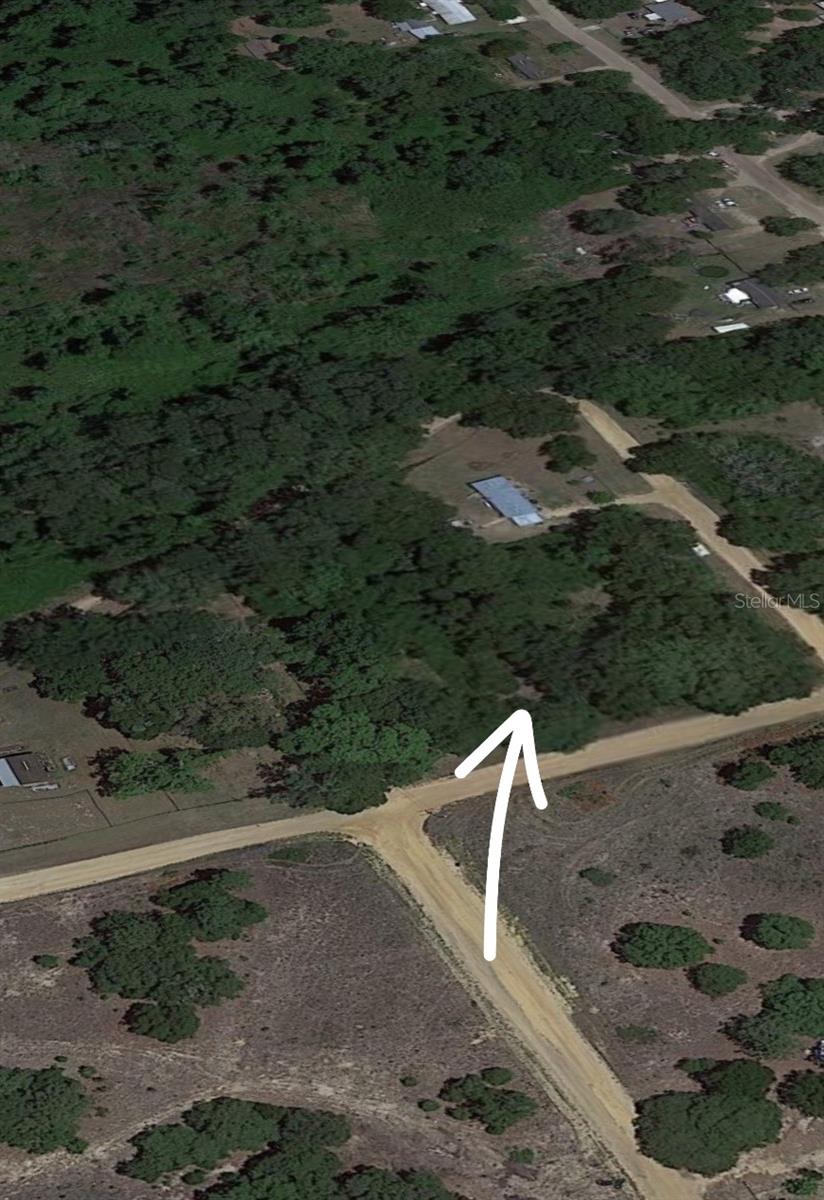 LOT 10 SHIRLEY STREET, INTERLACHEN, FL, 32148