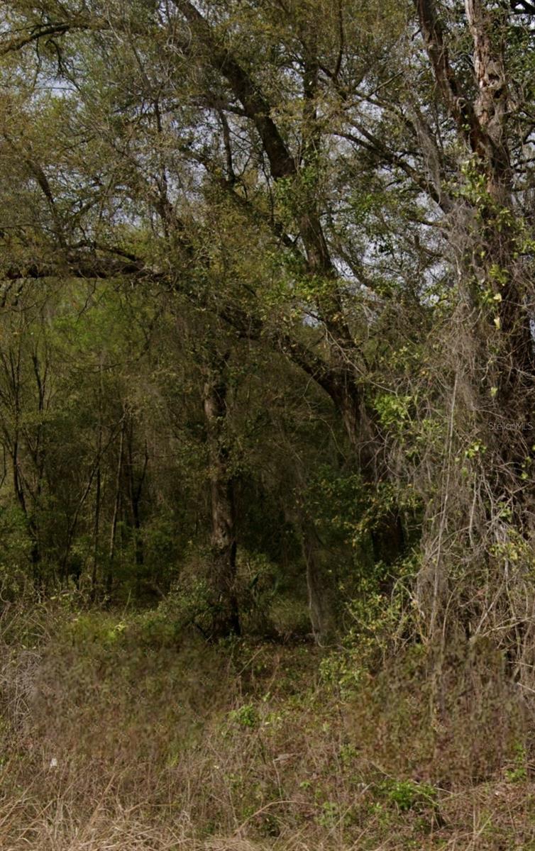 LOT 10 SHIRLEY STREET, INTERLACHEN, FL, 32148