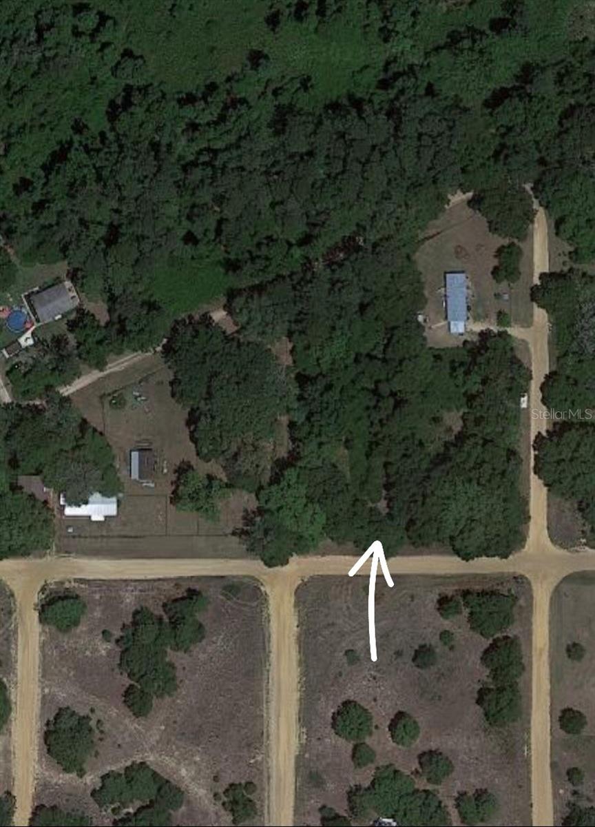 LOT 10 SHIRLEY STREET, INTERLACHEN, FL, 32148