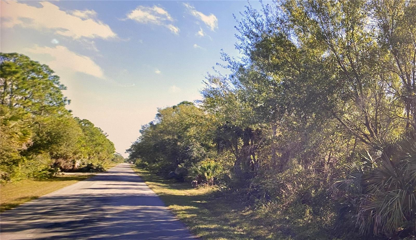 26191 DEER RD, PUNTA GORDA, FL, 33955