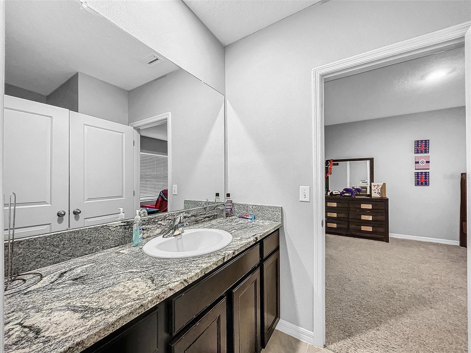 11946 BRIGHTON KNOLL LOOP, RIVERVIEW, FL, 33579