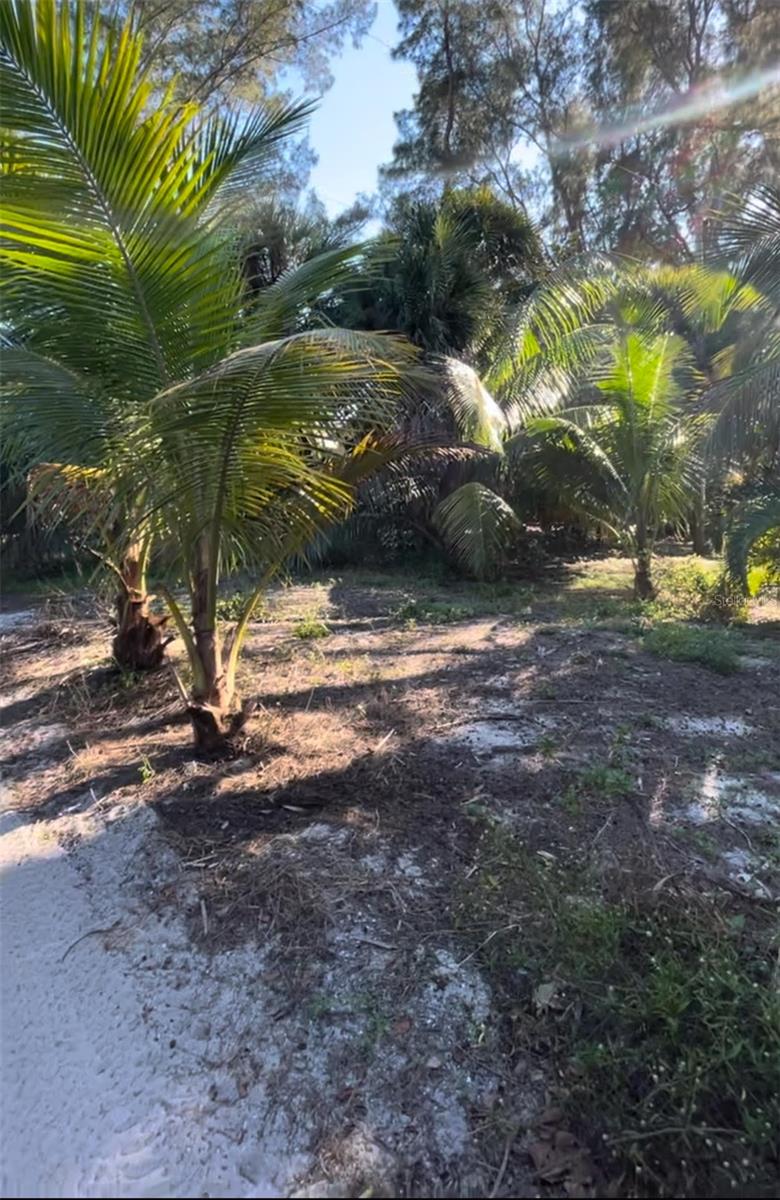 8508 LITTLE GASPARILLA ISLAND, PLACIDA, FL, 33946