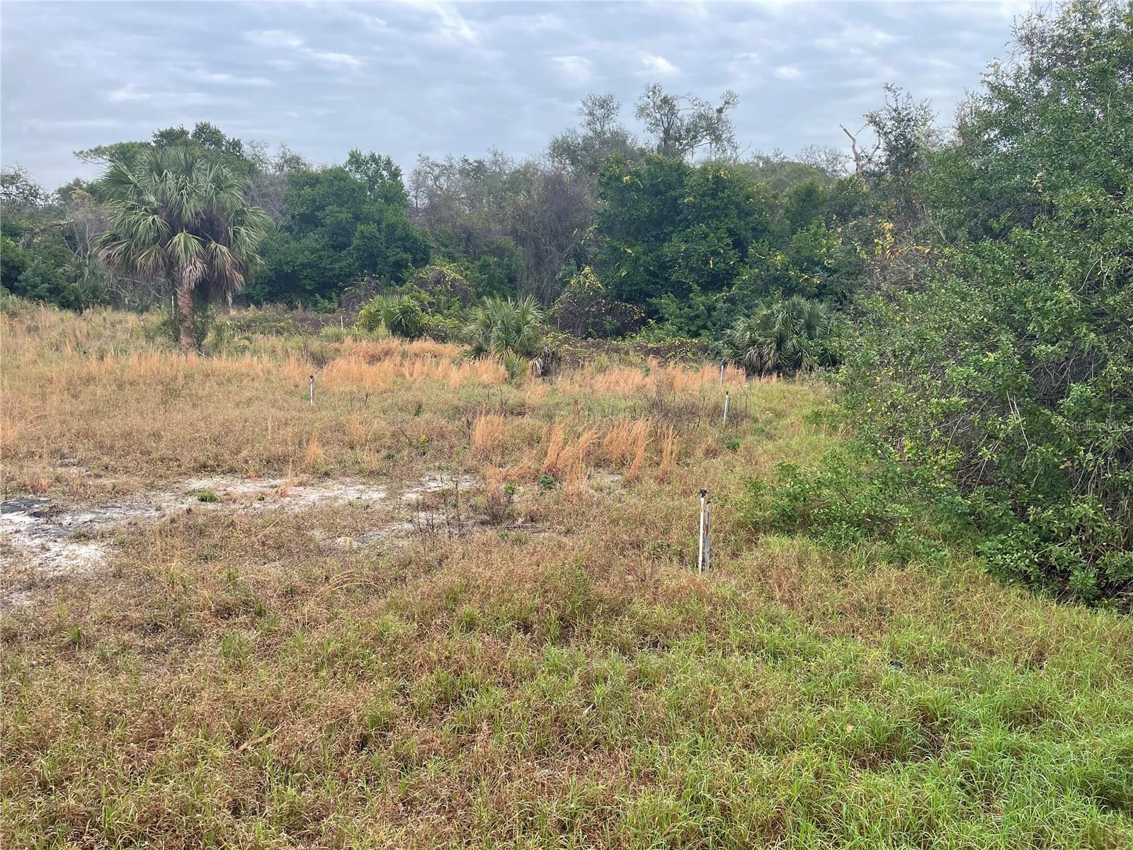 4650 N HIGHWAY 1, COCOA, FL, 32927