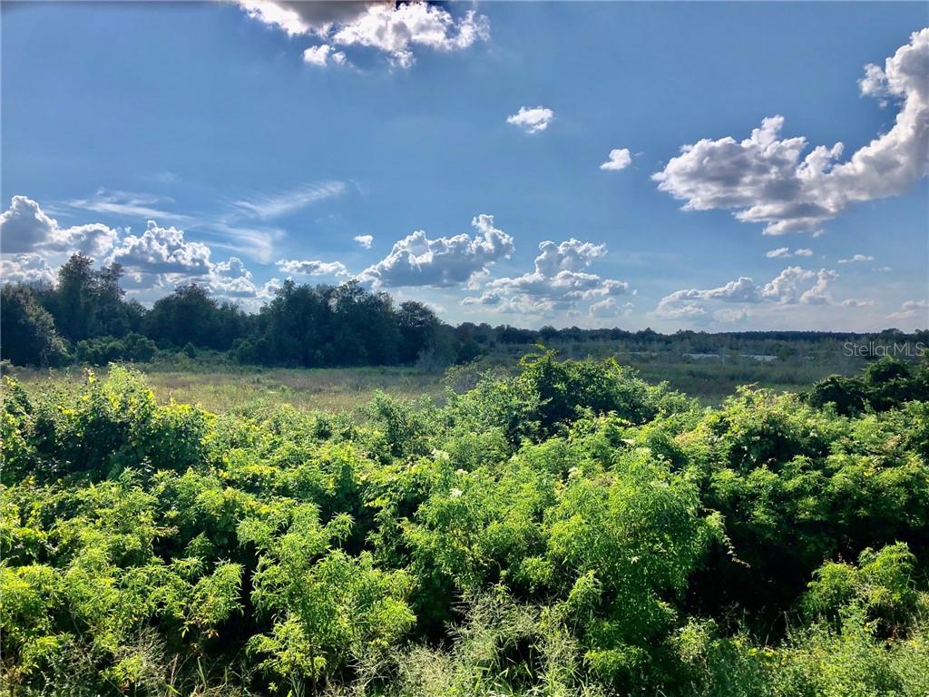 W LAKE YALE RD, UMATILLA, FL, 32784