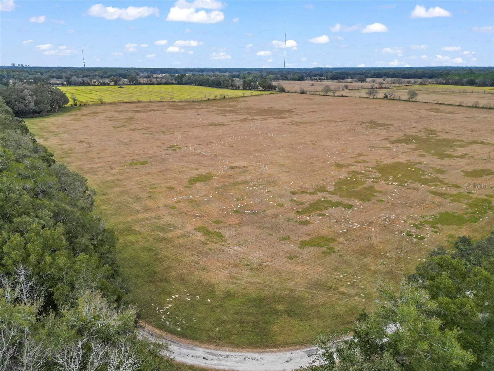 4107 SW STATE ROAD 45, NEWBERRY, FL, 32669