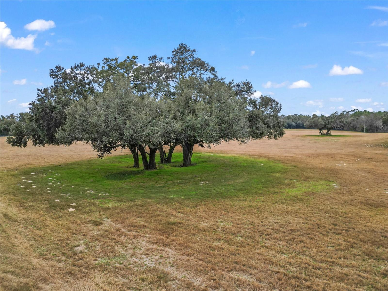 4107 SW STATE ROAD 45, NEWBERRY, FL, 32669