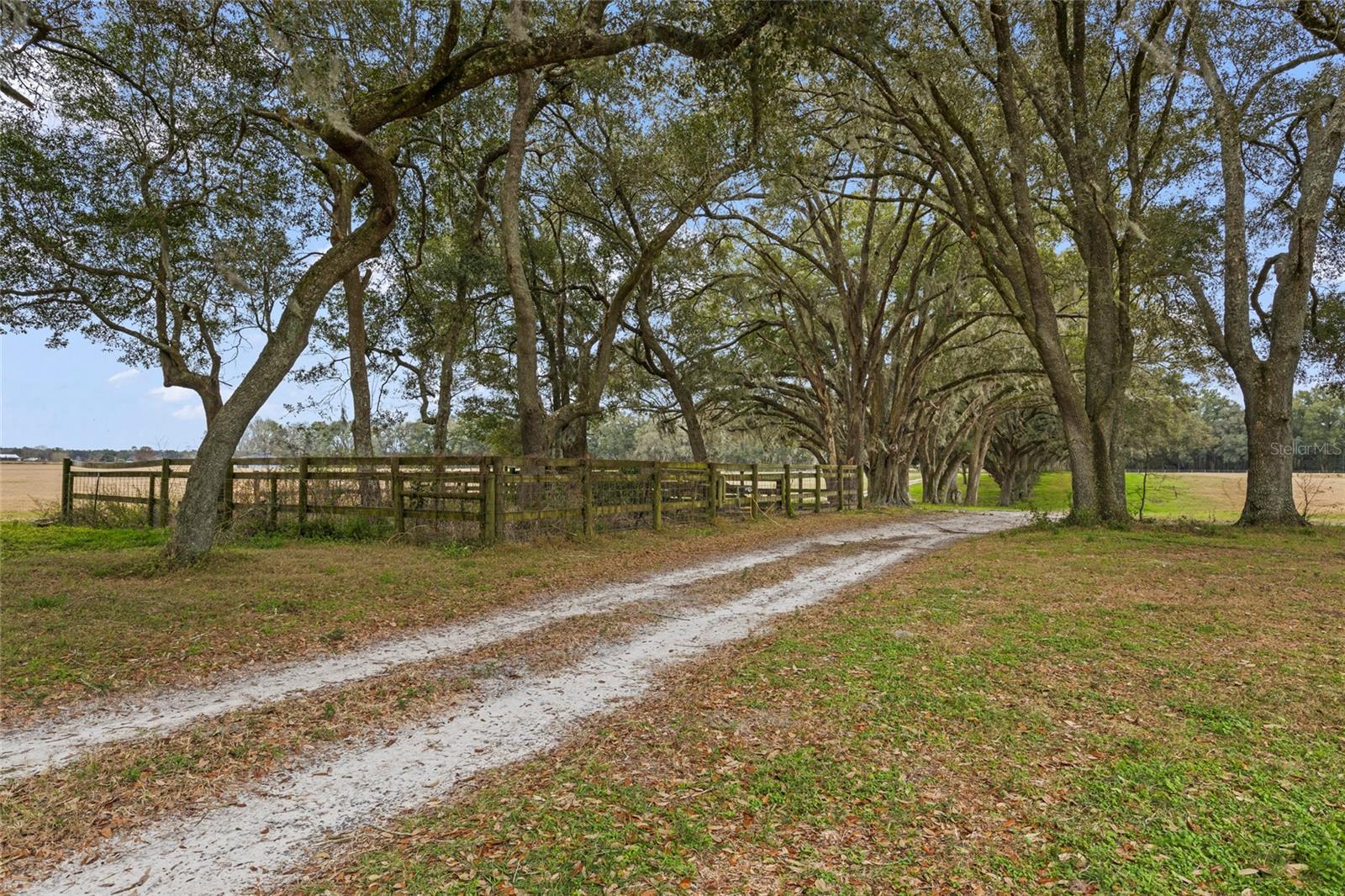 4107 SW STATE ROAD 45, NEWBERRY, FL, 32669