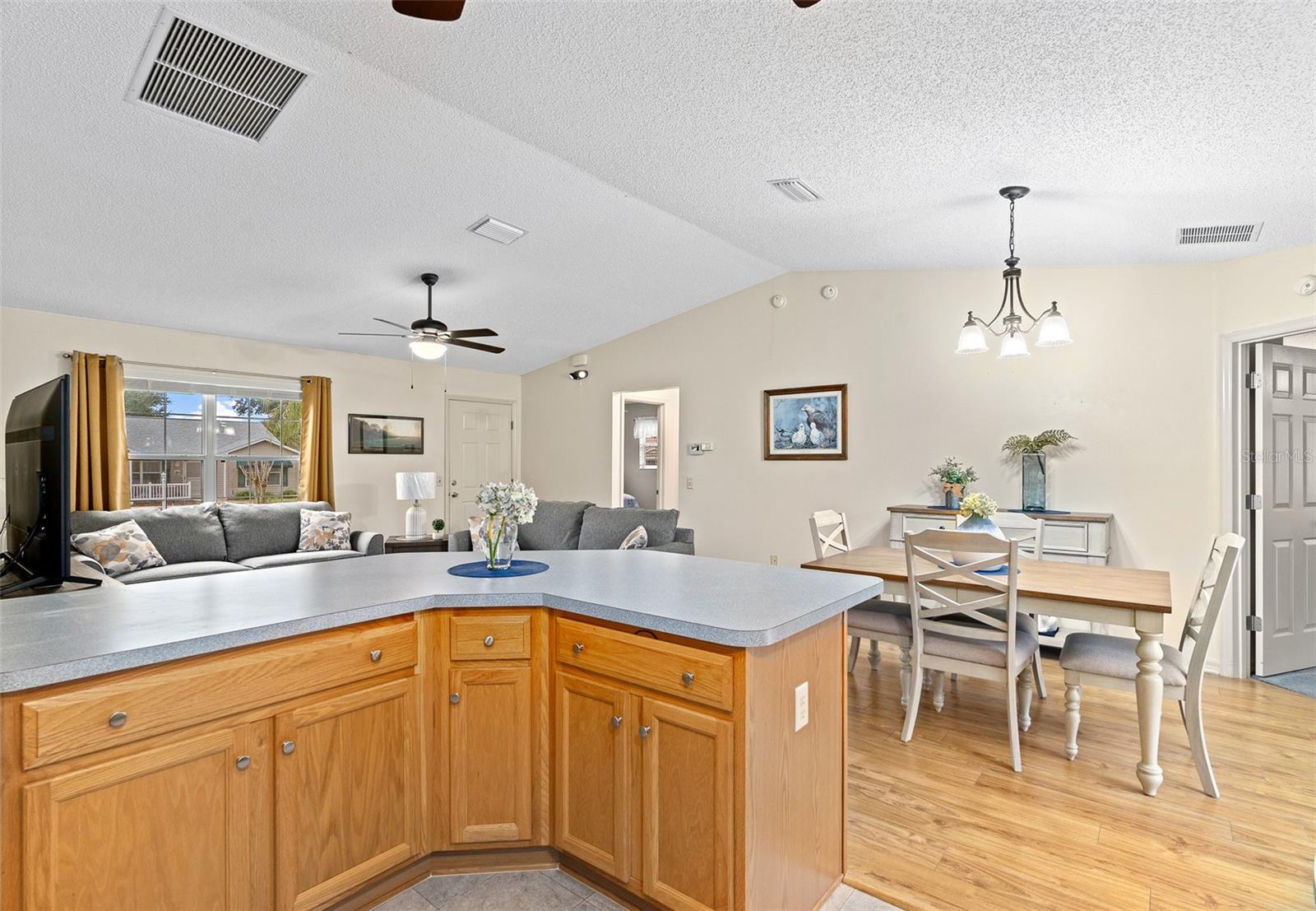 7994 SE 174TH BELHAVEN LOOP, THE VILLAGES, FL, 32162