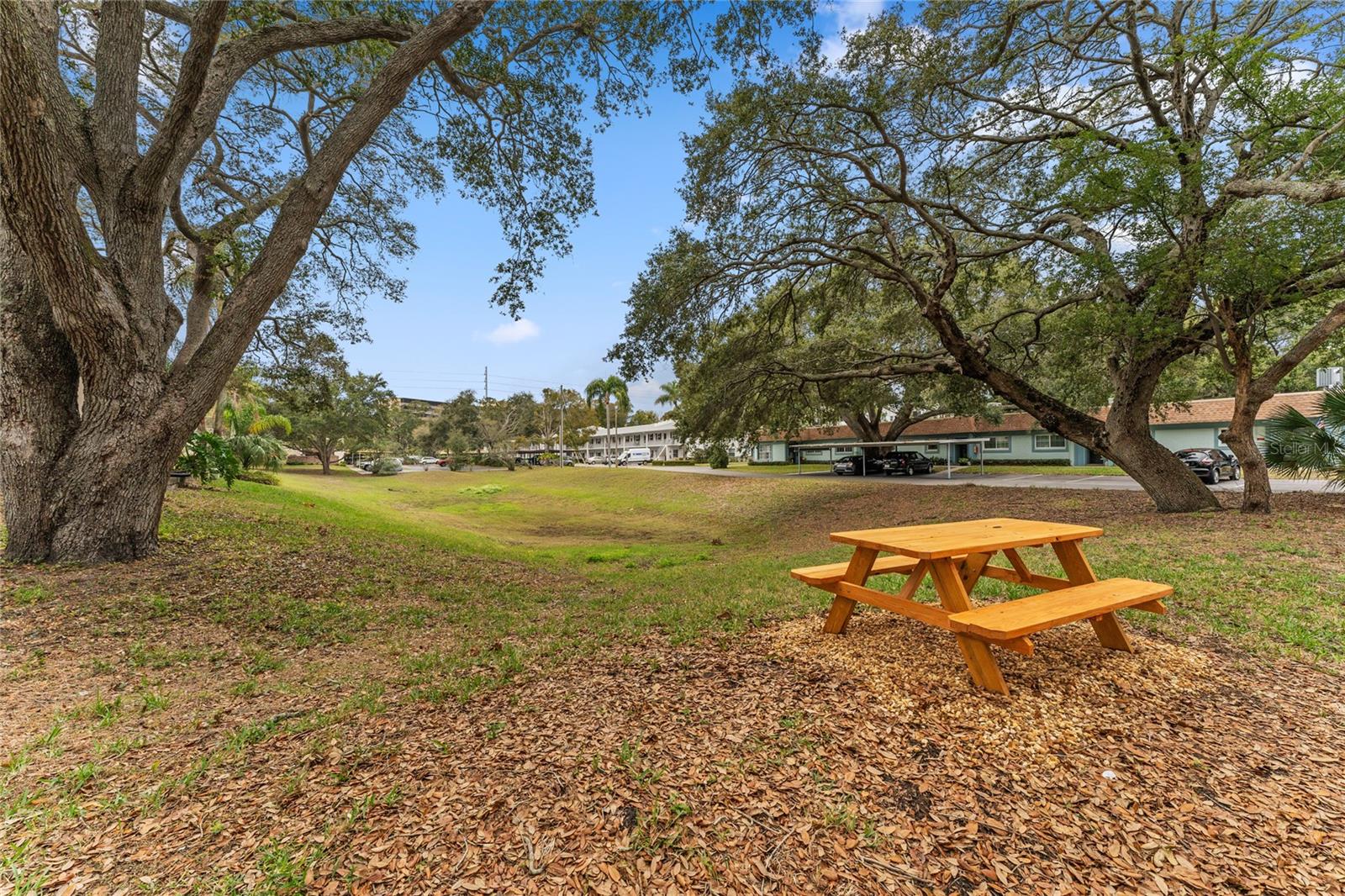 871 NEW YORK AVE #210, DUNEDIN, FL, 34698