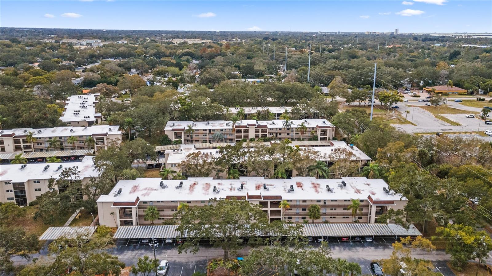 871 NEW YORK AVE #210, DUNEDIN, FL, 34698