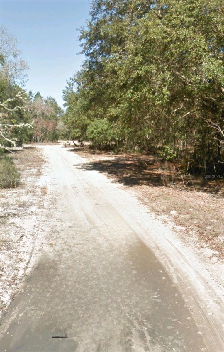 208 CEDAR TRL, INTERLACHEN, FL, 32148
