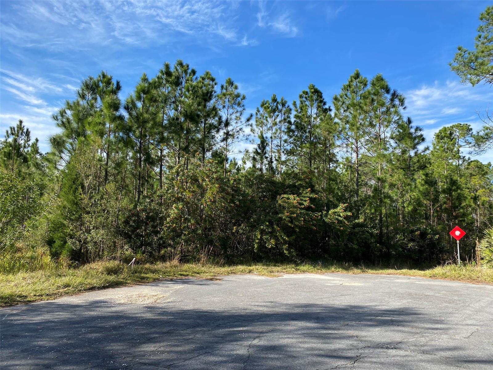 CARTWRIGHT CT, ORLANDO, FL, 32833