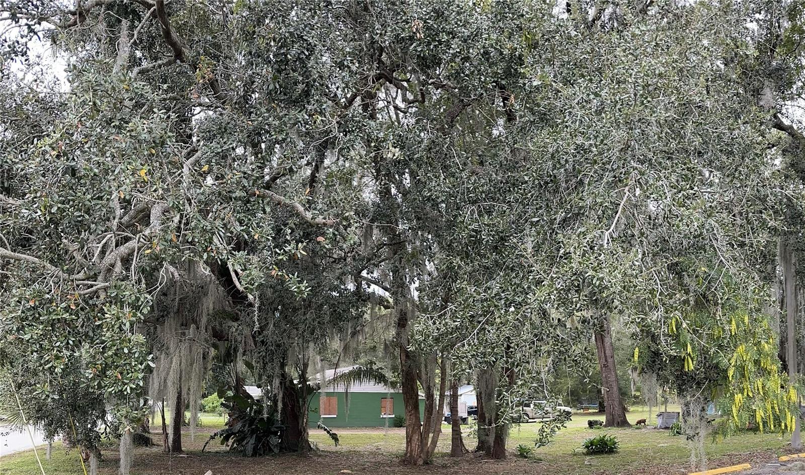 1180 E CHURCH ST, BARTOW, FL, 33830