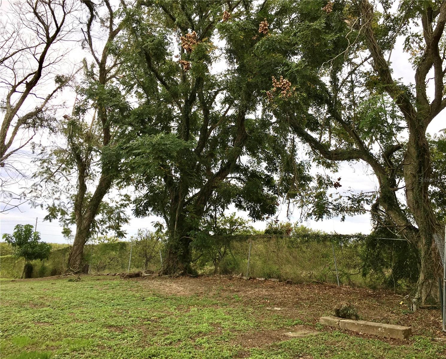 34 PINE RD, BABSON PARK, FL, 33827