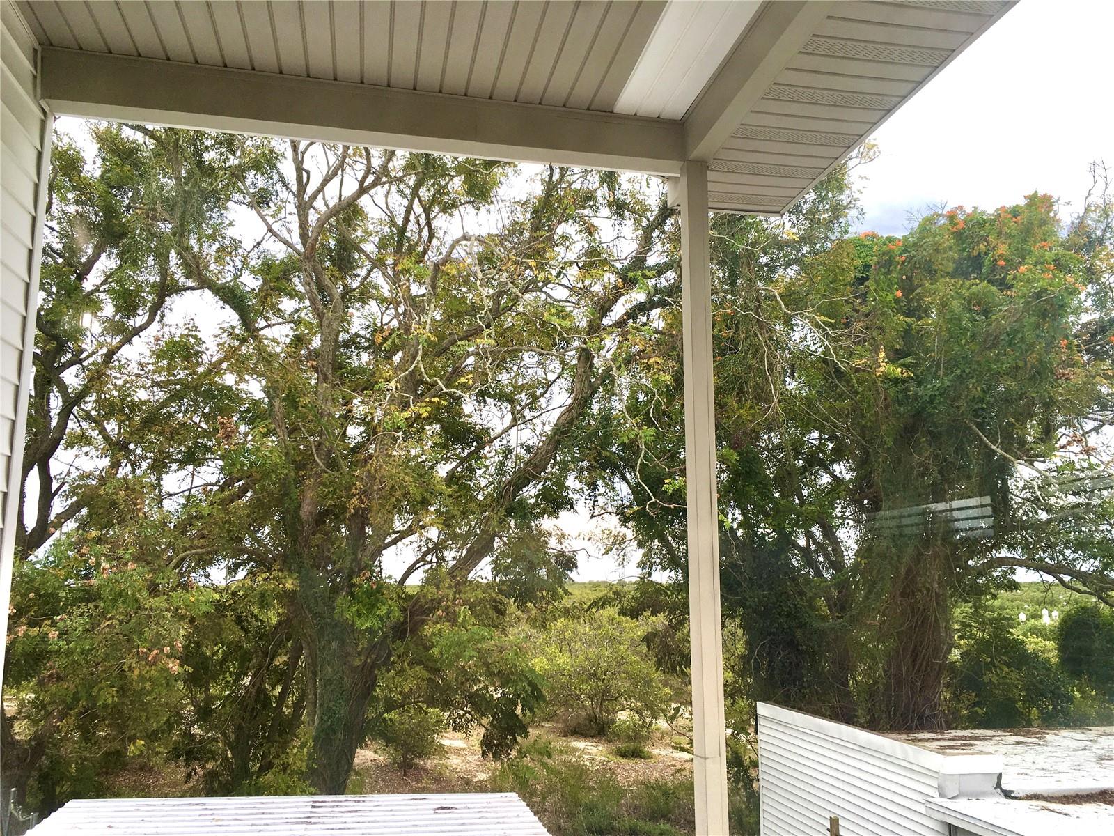 34 PINE RD, BABSON PARK, FL, 33827
