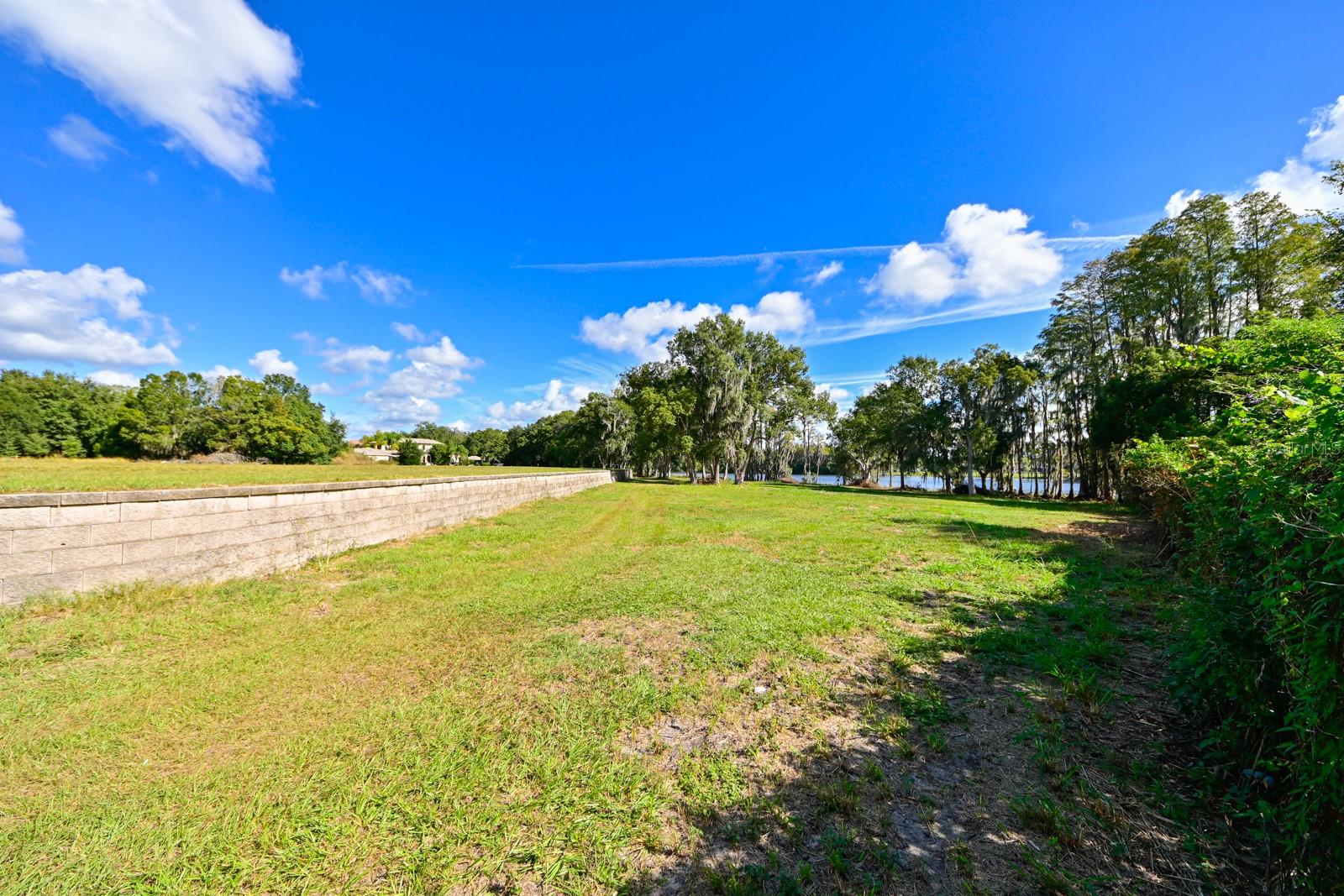 105 BELLAMERE PALMS CT, LUTZ, FL, 33549