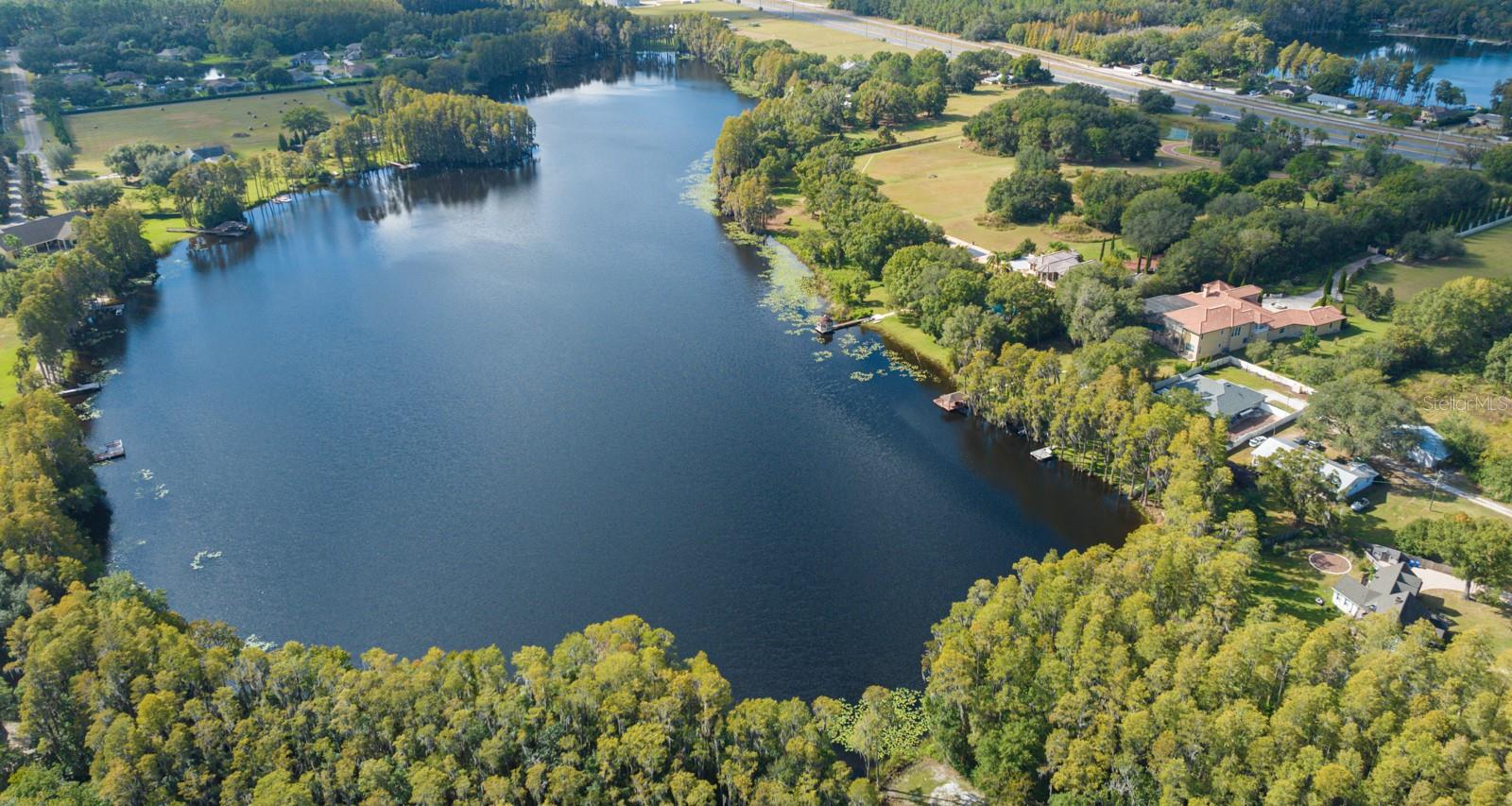 105 BELLAMERE PALMS CT, LUTZ, FL, 33549