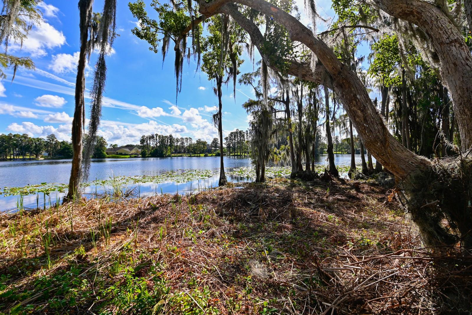105 BELLAMERE PALMS CT, LUTZ, FL, 33549