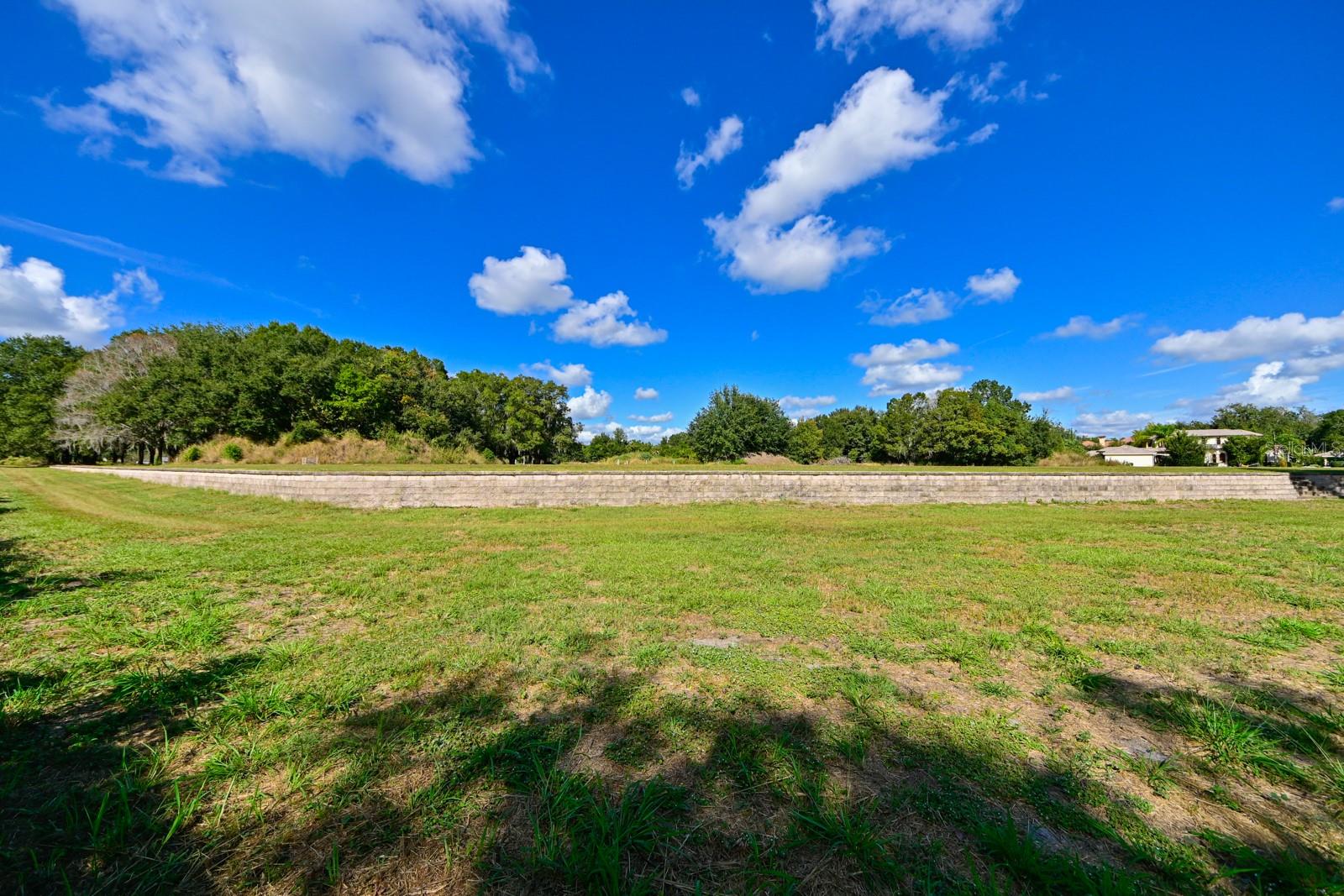 105 BELLAMERE PALMS CT, LUTZ, FL, 33549