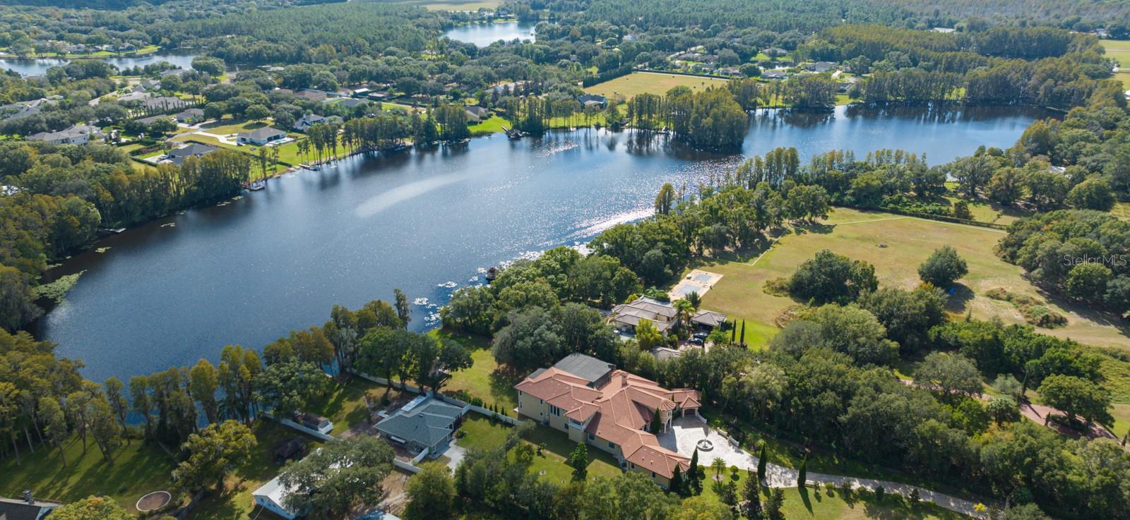 105 BELLAMERE PALMS CT, LUTZ, FL, 33549